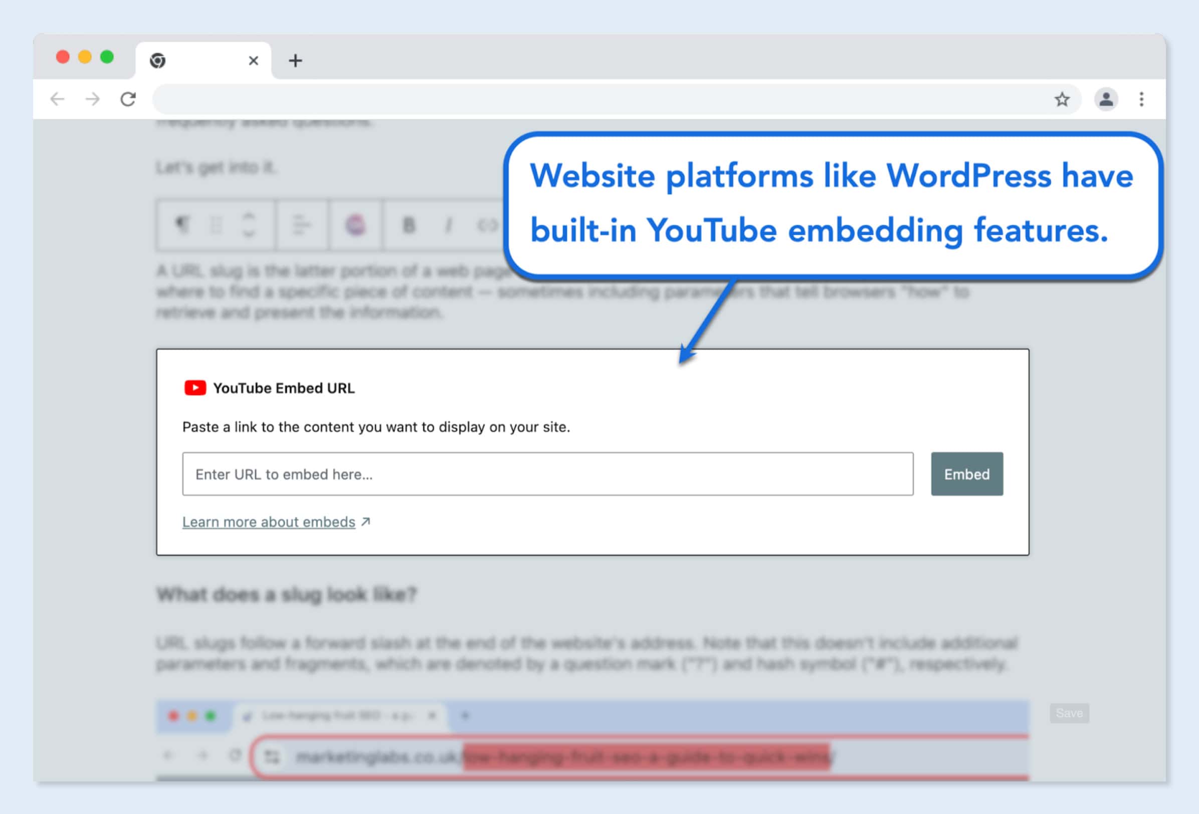 WordPress Youtube Video Embed Feature